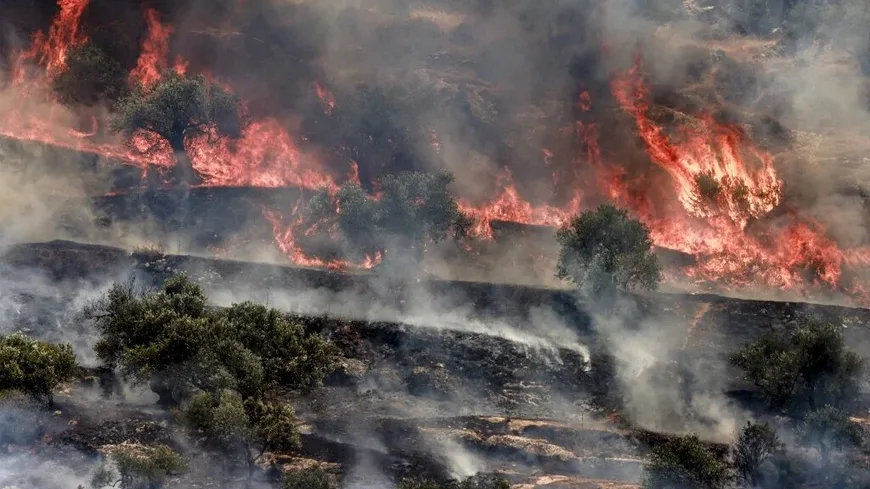 Weapon of distraction: How Israel uses greenwashing to mask its climate crimes