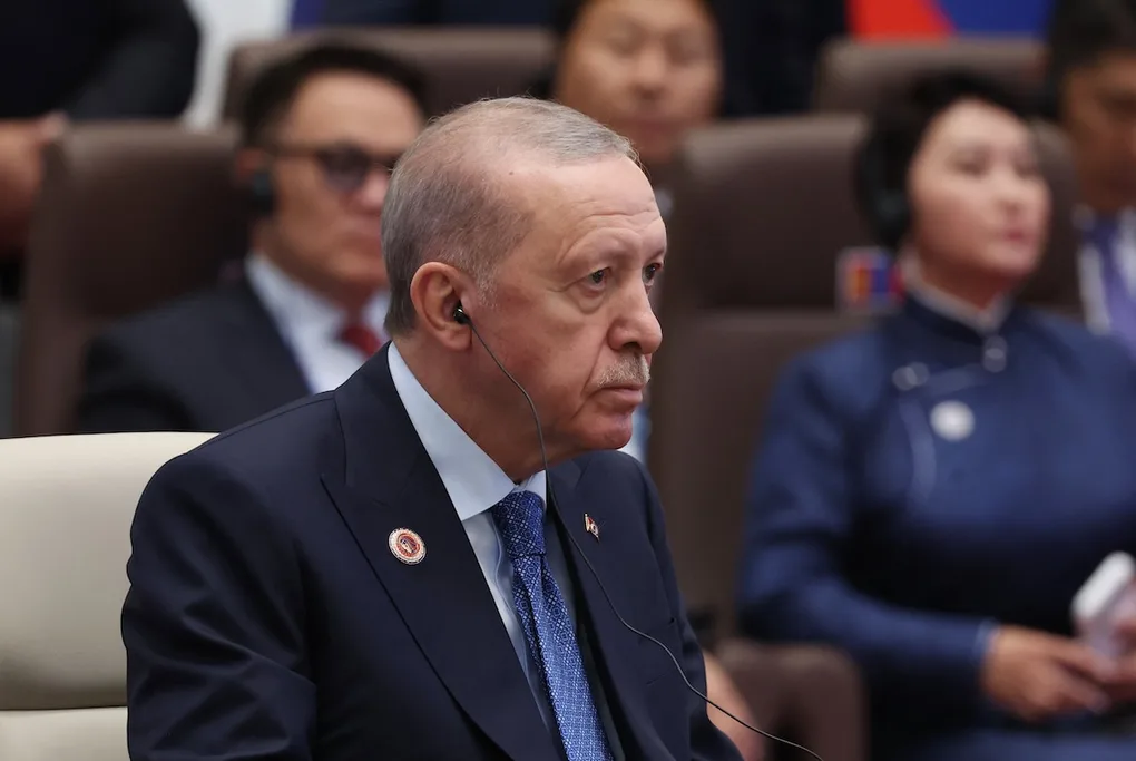 Erdogan proposes ending UN Security Council veto power