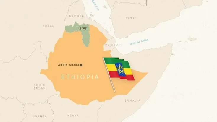 TPLF forces take control of airport in Ethiopia's Tigray as tensions deepen