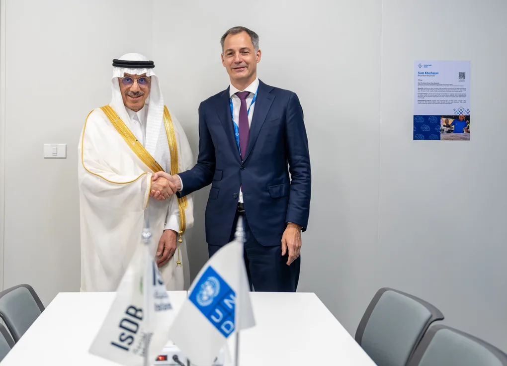 IsDB, UNDP to strengthen recovery in crisis-hit member countries