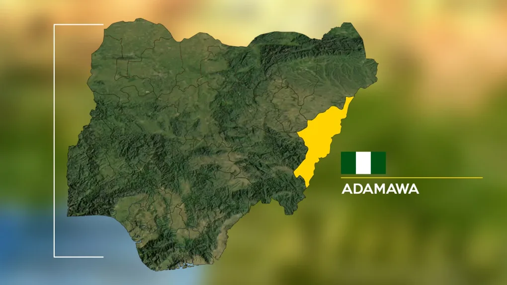 5 security operatives killed as B/Haram attacks Adamawa communities
